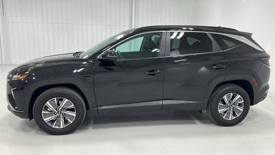 2023 Hyundai Tucson Hybrid Blue